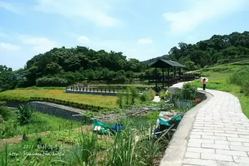 20110424 373.webp