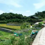 20110424 373