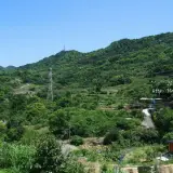 20110424 403