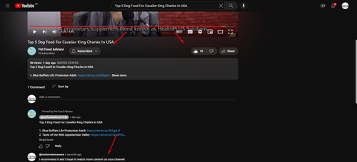 I recommend it and I hope to watch more content on your channel.png