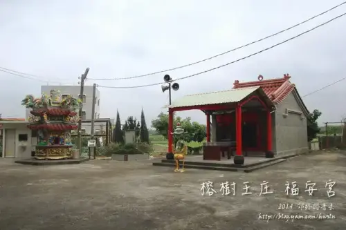 20131103 0684.webp