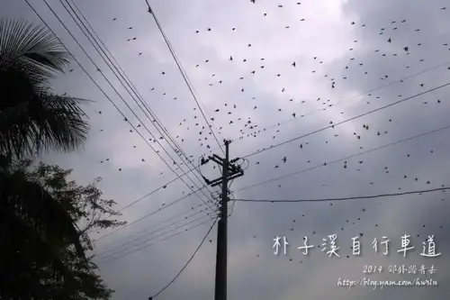 20131103 0769.webp