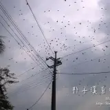 20131103 0769