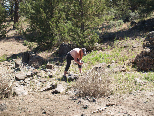 P1016577.jpg