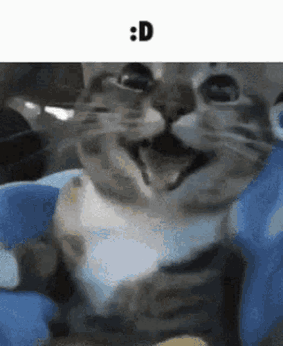 IMG 9661.gif