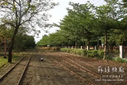 20131103 0281.webp