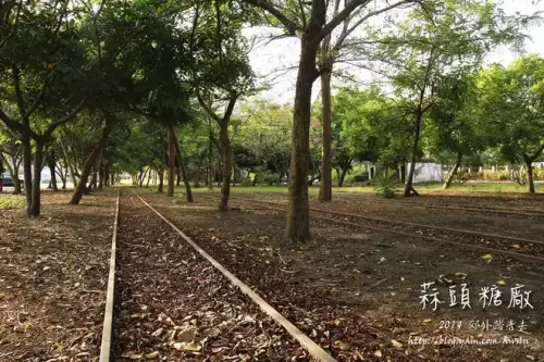 20131103 0298.webp