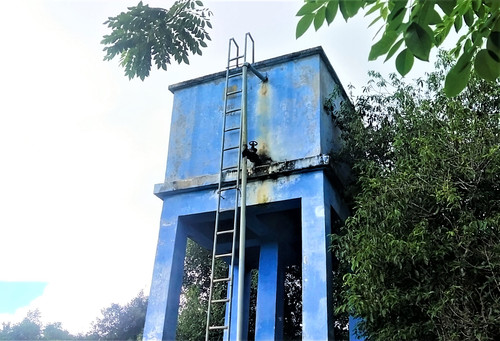 Air Minum Morekau 1.jpg