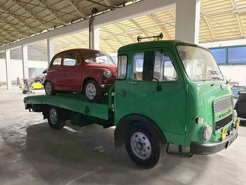 347245643 750448410096150 1957603333879736175 n.jpg