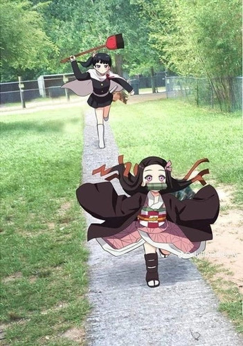 image.jpg