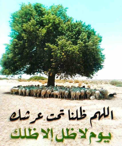 0E63B9A2 2848 436C 99AF B753D1C02BD9.jpg