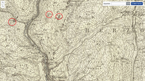Steinach 3.png