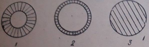 file 479.jpg