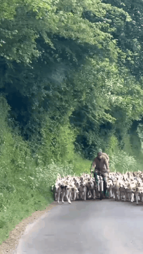 GIF 230703 153106.gif