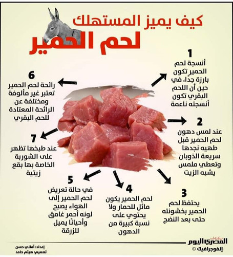 Screenshot ٢٠٢٣٠٧٠٣ ١٠٤٧٠٨ Gallery.jpg