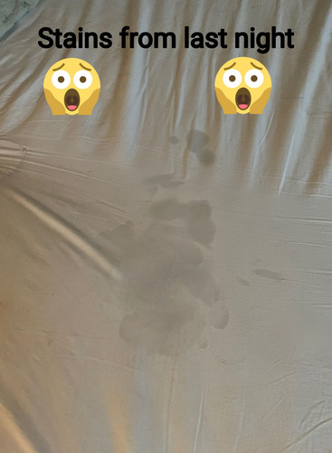 AddText 07 03 09.51.44.jpg