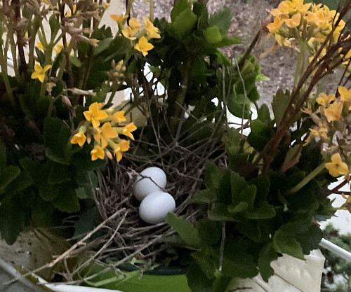 A6387BDE 6DDF 4443 856D BD5877C57871.jpg