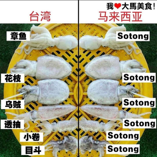 img 2 1688368445467.jpg