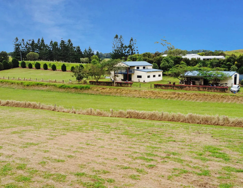 059aa2a08136.png