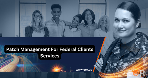 Patch Management For Federal Clients Services.png