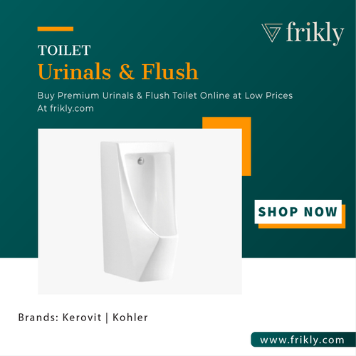 Upgrade Your Bathroom with a Trendy Urinals & Flush in india | Frikly.png