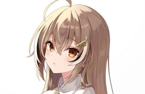 image.jpg