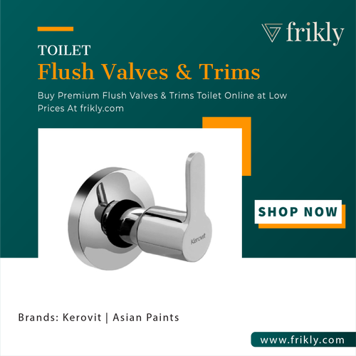 Upgrade Your Bathroom with a Trendy Flush Valves & Trims in india | Frikly.png
