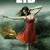 Zid (2014)