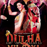 Dulha Mil Gaya (2010)