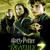 Harry Potter 7 and the Deathly Hallows Part 1 (2010)