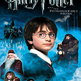 Harry Potter 1 and the Philosopher&#039;s Stone (2001)
