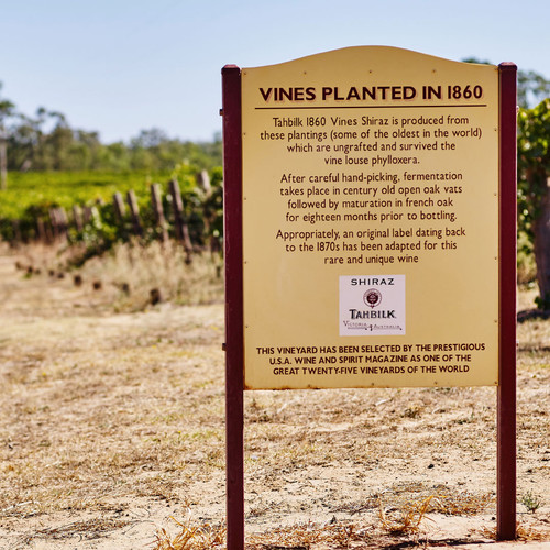 1860 Vines Sign
