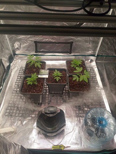 IMG 20230322 182857 814.jpg