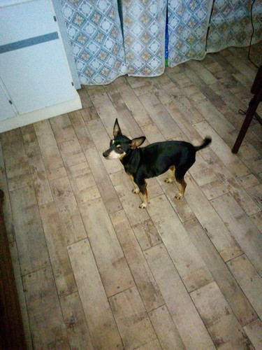 030.jpg