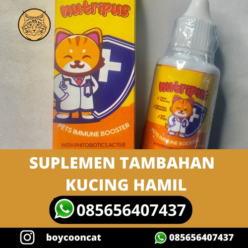 SUPLEMEN TAMBAHAN KUCING HAMIL.jpg