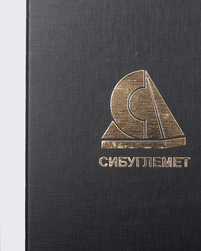Сибуглемет 1600х2000 5.jpg