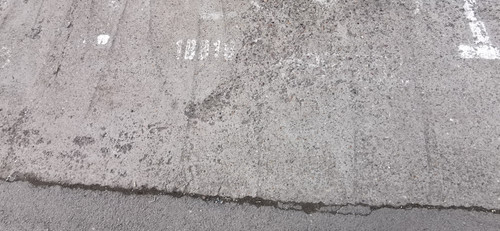 IMG 20230302 151545.jpg