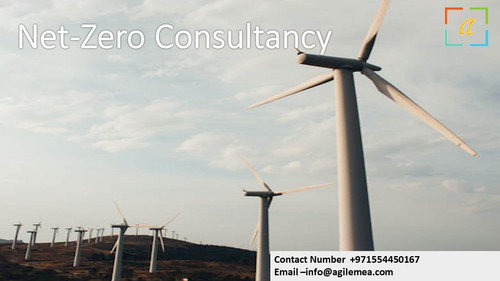 Net Zero Consultancy.jpg