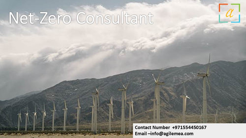 Net Zero Consultant 2.jpg
