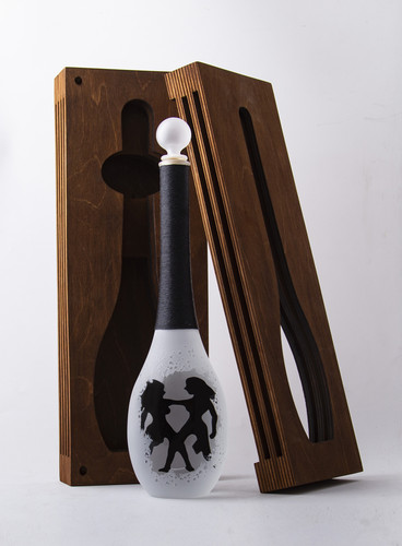 фото близнецы футляр 1.jpg