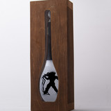 фото водолей в слоеном футляре 3