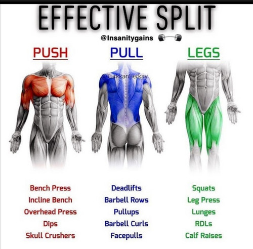 Screenshot 20200122 124535.jpg