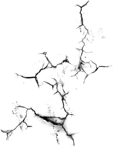 pngwing.com (12).png