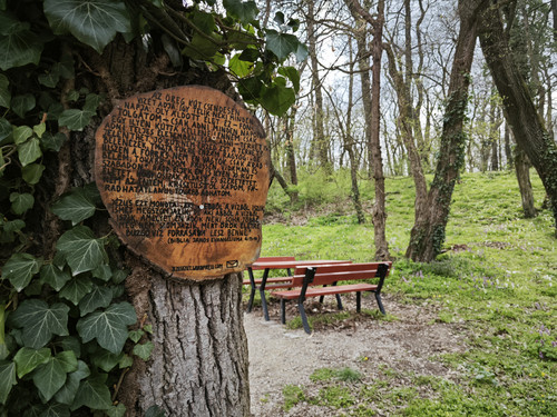 IMG 20230410 144410.jpg