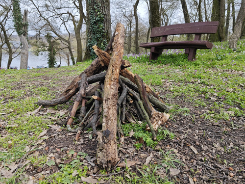 IMG 20230410 144538.jpg