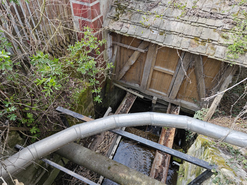 IMG 20230410 144304.jpg