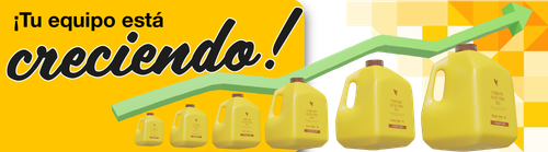 Mesa de trabajo 1@4x.png