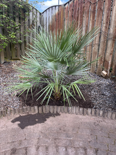 B1D8AE77 AD33 470A 87FE 8BADCF3723B7.jpg