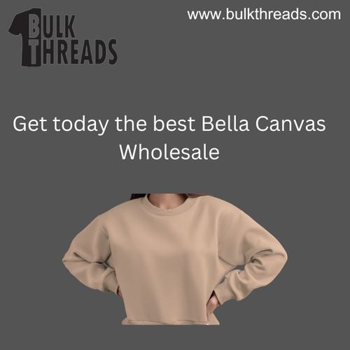 Get today the best Bella Canvas Wholesale.png