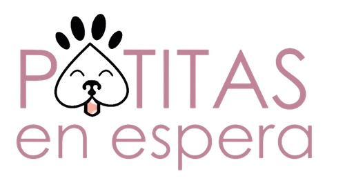 7347ffc1 85fe 49df aa99 381a18cad90f.png